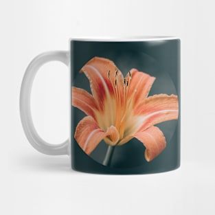 Orange Daylily Photograph Circle Mug